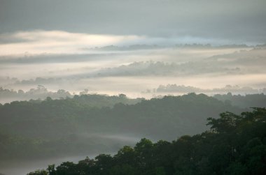 Hava manzarası güzel sabah manzarası altın gün doğumu ve sis yüksek dağlardaki ormanda akıyor. Pang Puai, Mae Moh, Lampang, Tayland.