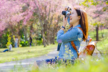Klasik fotoğraf makinesi kullanan genç, güzel Asyalı bir gezgin. Bahar kiraz çiçeklerinin ortasında gülümseyen bir mutlu fotoğraf çek. Seyahat yaşam tarzı, dünya gezgini, Asya seyahat fikri..