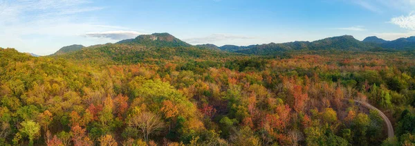 Вид Воздуха Густой Лес Осенью Цветные Леса Осенняя Листва Стоковое Изображение