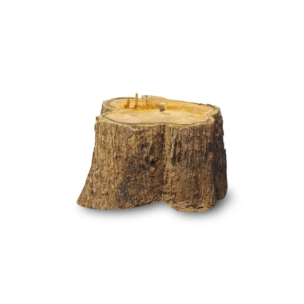 Ceppo Teak Isolato Sfondo Bianco Con Percorso Ritaglio Ceppo Albero Fotografia Stock