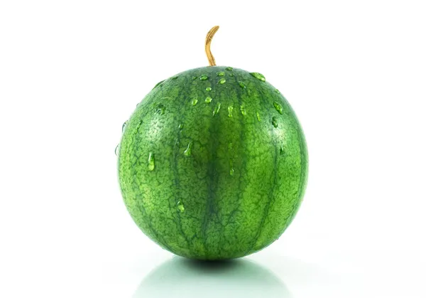 白色背景下孤立的绿色西瓜 — 图库照片