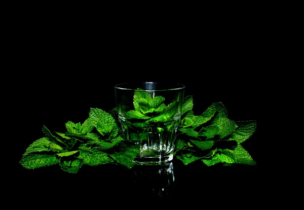 Mint glass on black background — Stock Photo, Image