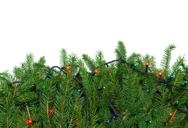 Rama del árbol de Navidad con guirnaldas — Foto de Stock