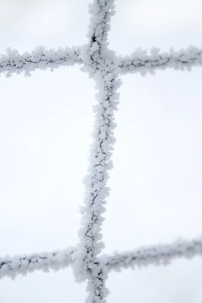 在网格上雪 — 图库照片