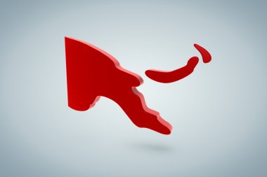 Papua Yeni Gine Haritası