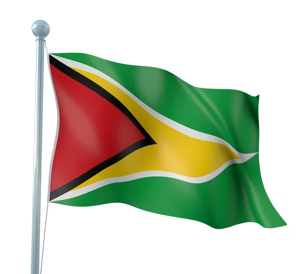 Guyana vlag detail renderen — Stockfoto