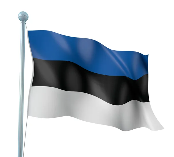 Estonya bayrağı ayrıntı render — Stok fotoğraf