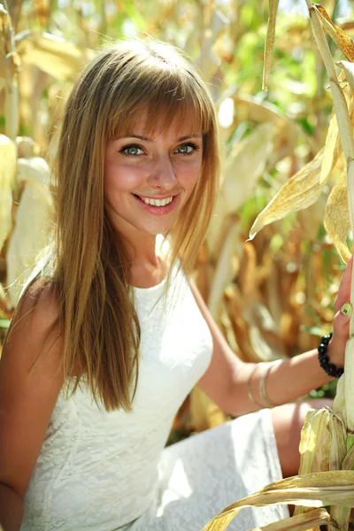 Beautiful young woman portrait in a corn field — Stock Photo, Image