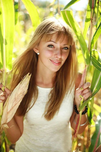 Schöne junge Frau steht in einem Maisfeld — Stockfoto