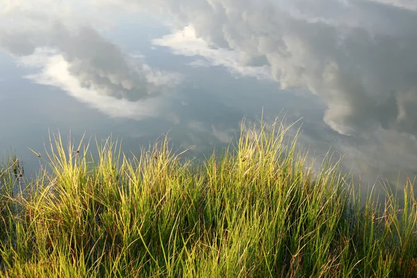 Natureza idílica fundo de grama verde e nuvens em reflexões de água — Fotografia de Stock