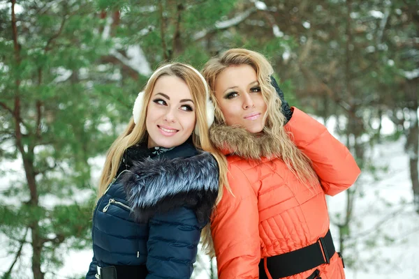 Dos chicas bonitas felices posando en madera de pino en un día de invierno —  Fotos de Stock