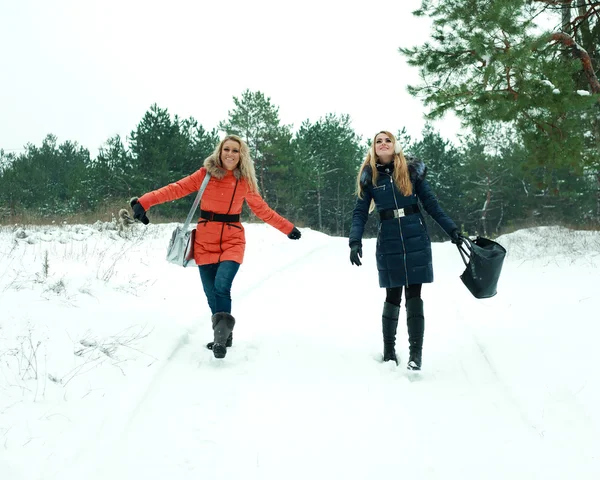 Two happy pretty girls walking in pinewood on a winter day — Stock Photo, Image