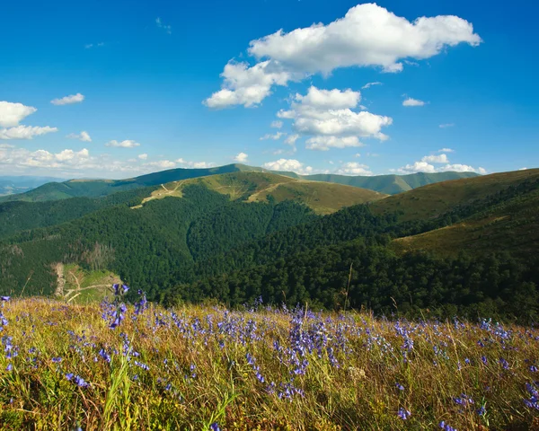 在喀尔巴阡山的夏天风景 — 图库照片
