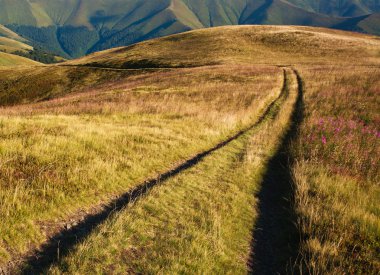 Uzaktaki dağlara giden yol