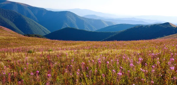 Panorama de la naturaleza, hermoso paisaje en las montañas Cárpatos — Foto de Stock