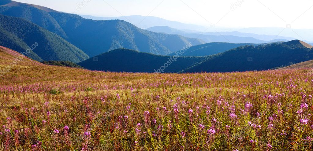 Nature panorama, beautiful landscape in Carpathian mountains