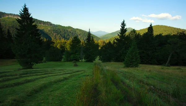 ภูมิทัศน์ฤดูร้อนในภูมิภาค Carpathian ภูเขา — ภาพถ่ายสต็อก