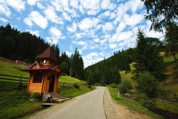 Summer landscape in the Carpathian region Synevyr — Stock Photo, Image