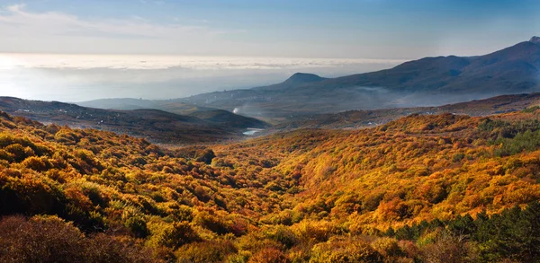 Dağın sonbahar manzara ile Kırım'ın renkli ormanda — Stok fotoğraf