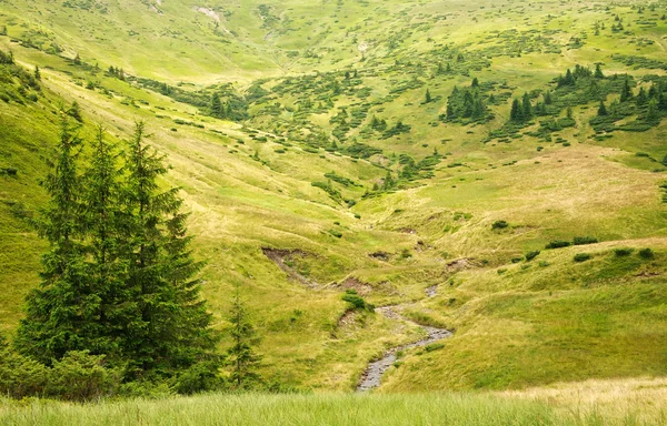 Природный зеленый парк на холме, красивый летний пейзаж — стоковое фото