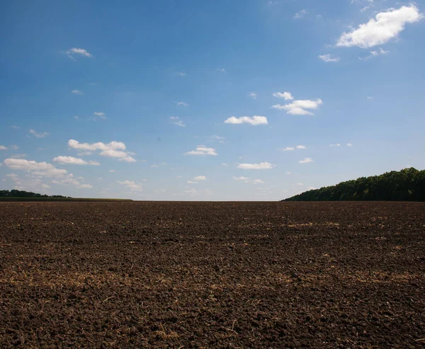 Dry Plowed Black Soil Agricultural Field Background Blue Sky White — Stock Photo, Image