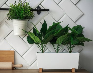 Minimalist mutfak arka planı, ahşap bir masanın arka planında yeşil bitkilerle dolu saksılar.