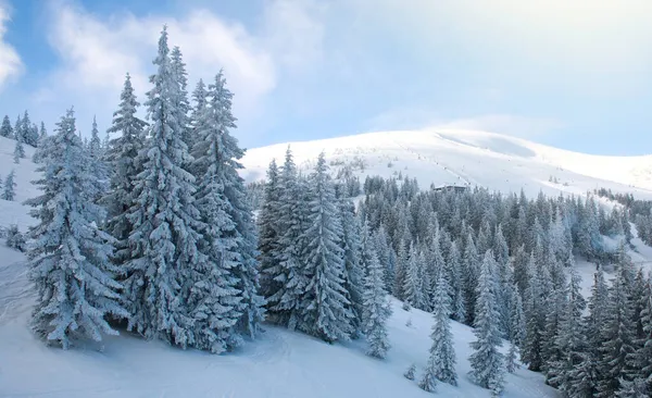 Paisaje Invernal Las Montañas Bosque Abeto Cubierto Nieve Sobre Fondo — Foto de Stock