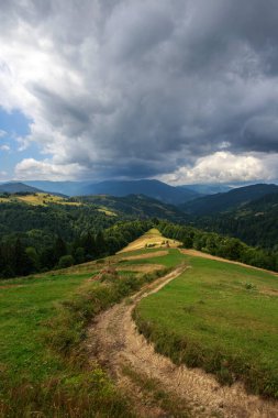 Yollar yüksek dağlarda, tarlalarda, ormanlarda ve tarlalarda mavi gökyüzünün arka planında, Karpatlar, Ukrayna