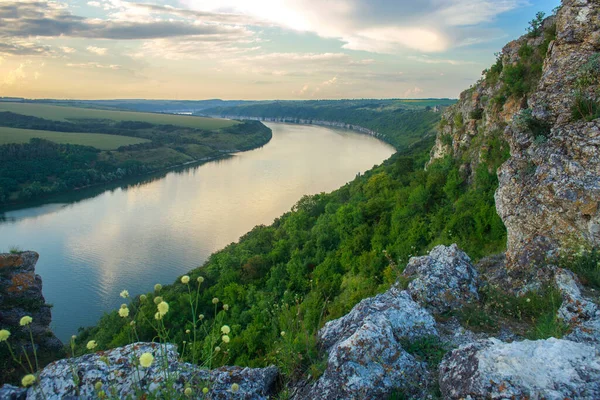 Luchtfoto Rivier Het Midden Van Groene Bossen Velden Tegen Achtergrond — Stockfoto