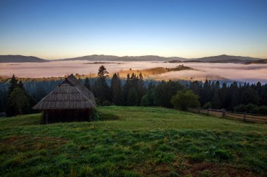 Dağların tepesinde yürümek ormanlarda ve tarlalarda mavi gökyüzünün arka planında, Karpatlar 'ın doğasında, Ukrayna' da