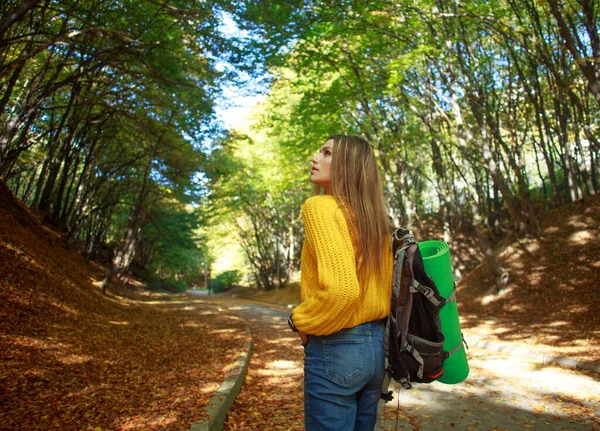 Mladá Žena Batohem Procházky Městským Lesopark Těší Příroda Podzim Slunečný — Stock fotografie