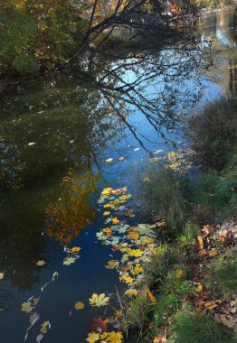 Gerçek bir sonbaharın resmi. ... 
