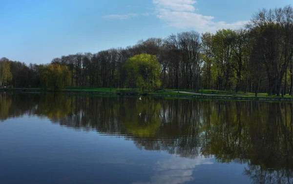 Beautiful Landscape Shore Pond Lake Reflection Blue Sky Water — Foto Stock
