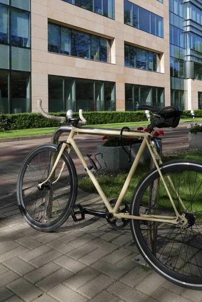 Ecological Urban Transport Bicycles Street — стоковое фото