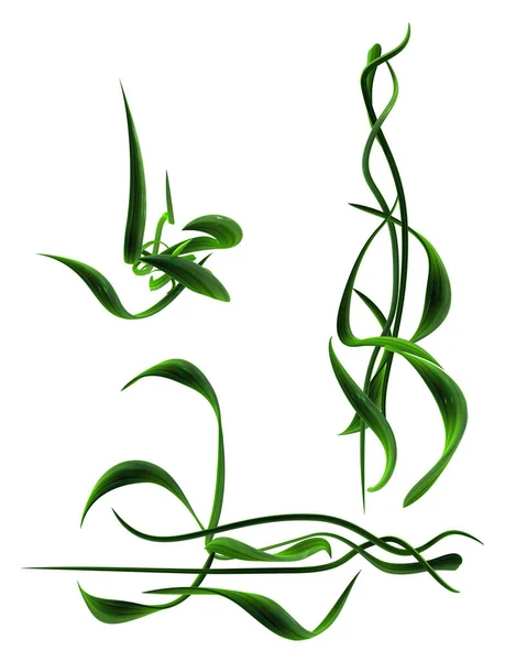 Vinhas Plantas Verde Crescente Torção Folha Decoração Parte Ilustração Vertical — Fotografia de Stock