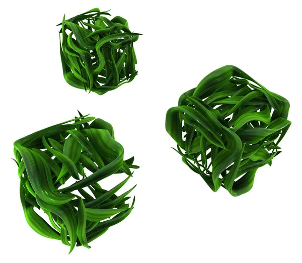 植物藤蔓绿色生长叶盒形式 3D插图 过白色 — 图库照片