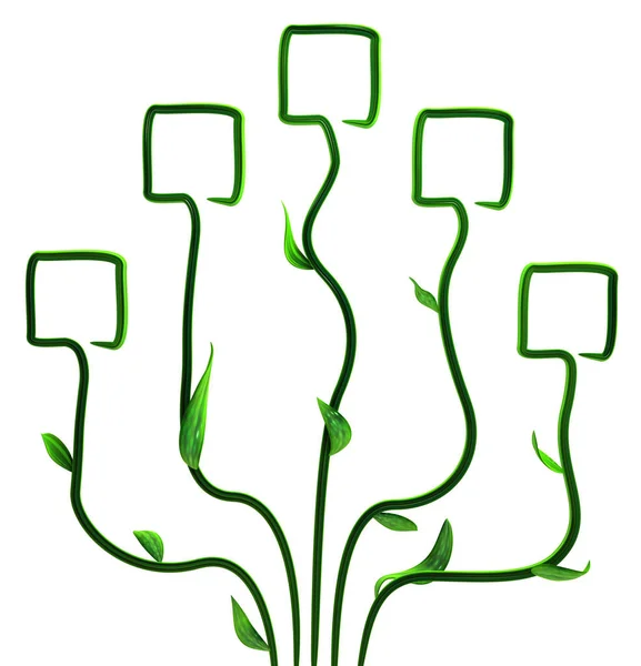Pflanzenreben Grün Wachsende Quadratspitze Blüht Illustration Waagerecht Isoliert Über Weiß — Stockfoto