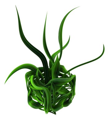 Bitki sarmaşıkları yaprak kutusu formunda büyür, 3D resimleme, yatay, izole, beyaz üzerinde