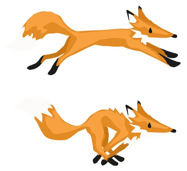 Fox Loopt Lange Stretch Springen Twee Delen Vormt Cartoon Design — Stockvector