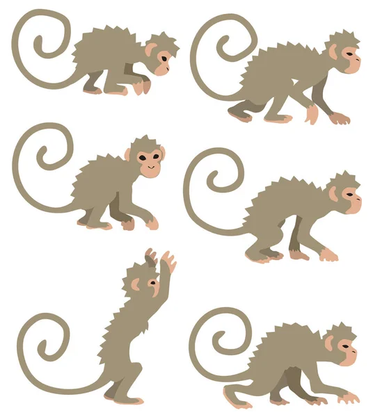 猴子卡通设计元素集 孤立的颜色矢量 — 图库矢量图片