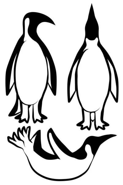 Penguin Bird Poses Cartoon Design Element Set Isolated Vector Black — Stock Vector