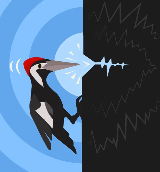啄木鸟栖息啄食卡通色矢量插图 — 图库矢量图片