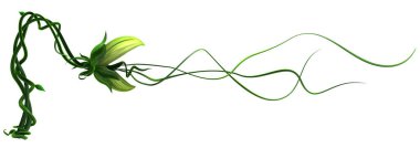 Bitki yetişen yeşil sarmaşık uzun dil erişimi, 3D illüstrasyon, yatay, izole, beyaz üzerinde