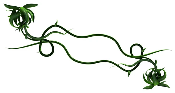 植物藤蔓绿色 生长扭曲 相互连接 3D插图 过白色 — 图库照片#