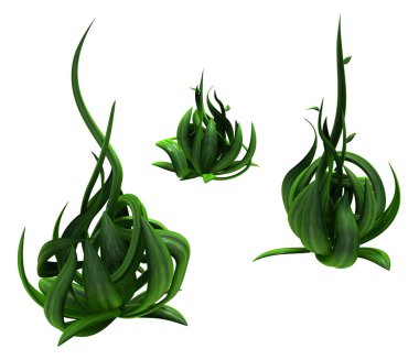 Bitki üzümleri yeşilleniyor bükülen tomurcuklar üç, üç boyutlu illüstrasyon, yatay, yalıtılmış, beyaz üzerine