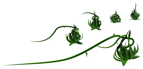 힘줄이 초록빛 초록빛 — 스톡 사진