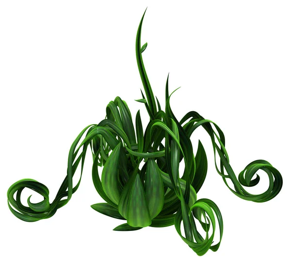 Plant Vines Green Growing Twisting Budding Four Sides Illustration Horizontal —  Fotos de Stock