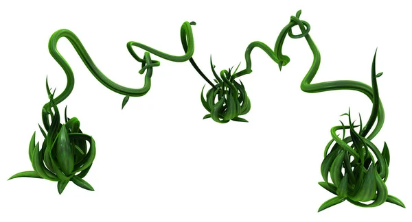 Vinhas Plantas Verde Crescente Torção Brotando Três Link Anexo Ilustração — Fotografia de Stock