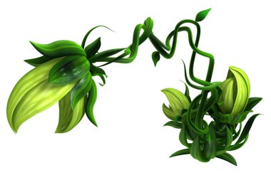 Bitki büyüyen yeşil tomurcuk kümesi, 3D illüstrasyon, yatay, izole, beyaz üzerinde