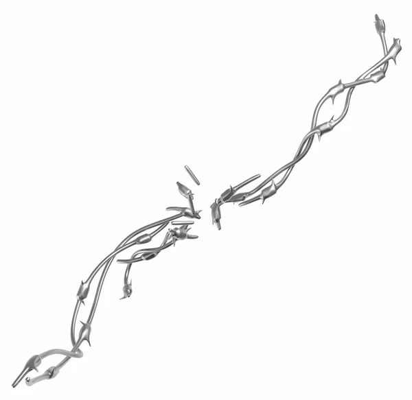 Barbed Wire Smooth Grey Metal Illustration Isolated Horizontal White — Foto Stock